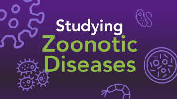 Studying Zoonotic Diseases header