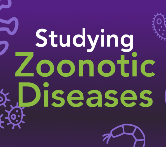 Studying Zoonotic Diseases header