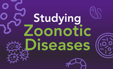 Studying Zoonotic Diseases header